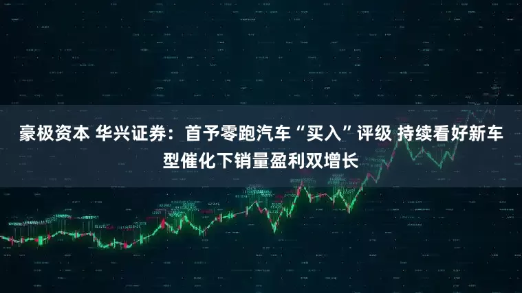 豪极资本 华兴证券:首予零跑汽车“买入”评级 持续看好新车型催化下销量盈利双增长
